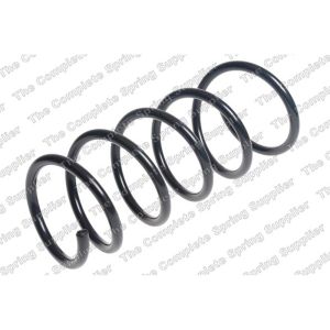 Coil Spring - Rear