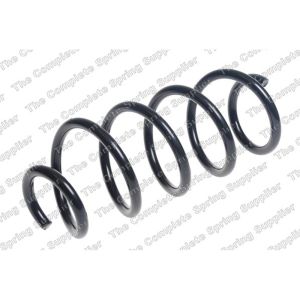 Coil Spring - Rear