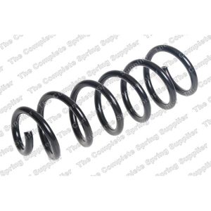 Coil Spring - Rear