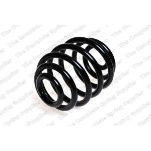 Coil Spring - Rear