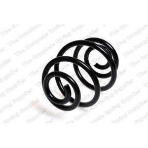 Coil Spring - Rear