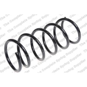 Coil Spring - Rear