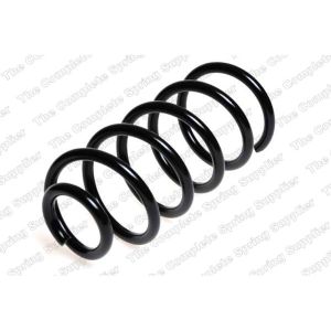 Coil Spring - Rear