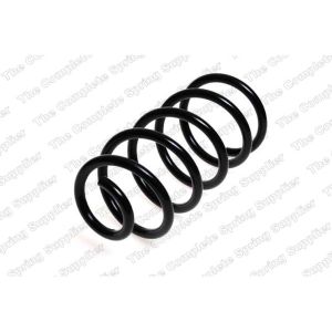 Coil Spring - Rear