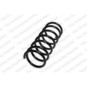 Coil Spring - Rear