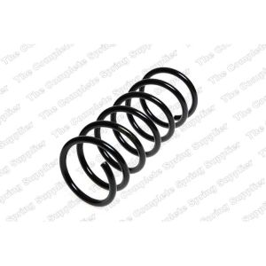 Coil Spring - Rear