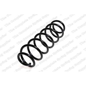 Coil Spring - Rear