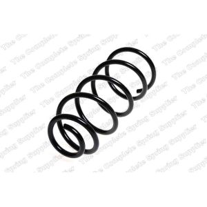 Coil Spring - Rear