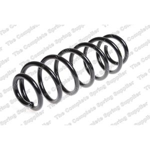 Coil Spring - Rear