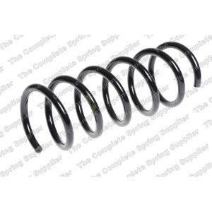 Coil Spring - Rear