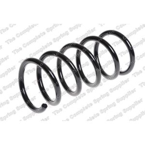 Coil Spring - Rear