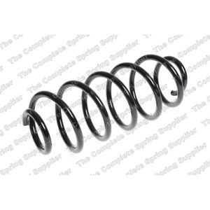 Coil Spring - Rear