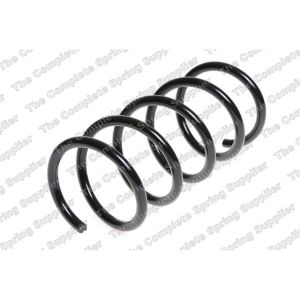 Coil Spring - Rear