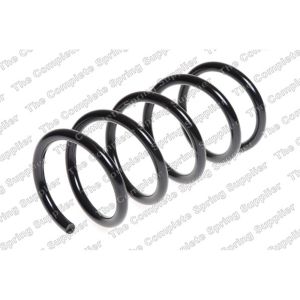 Coil Spring - Rear