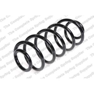 Coil Spring - Rear