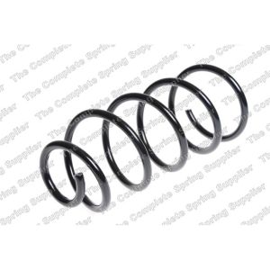 Coil Spring - Rear