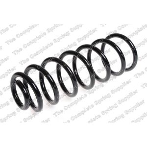 Coil Spring - Rear