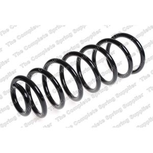 Coil Spring - Rear