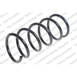 Coil Spring - Rear