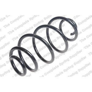 Coil Spring - Rear