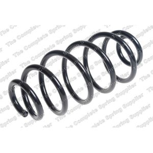 Coil Spring - Rear