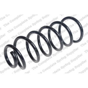 Coil Spring - Rear