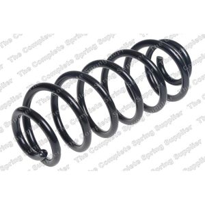 Coil Spring - Rear