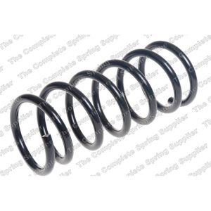 Coil Spring - Rear