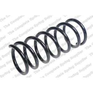 Coil Spring - Rear