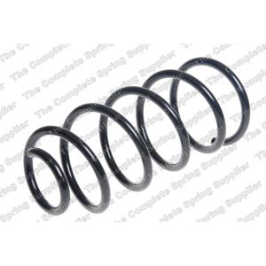 Coil Spring - Rear