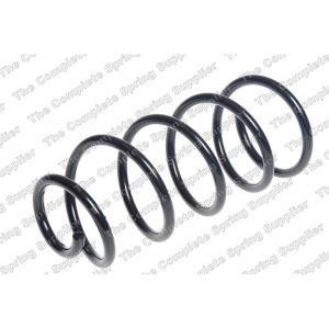 Coil Spring - Rear