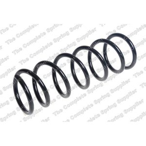 Coil Spring - Rear