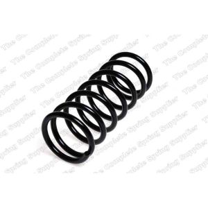 Coil Spring - Rear