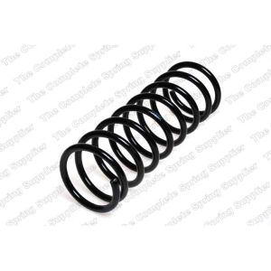 Coil Spring - Rear