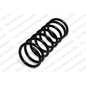 Coil Spring - Rear