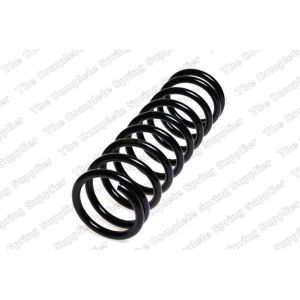 Coil Spring - Rear