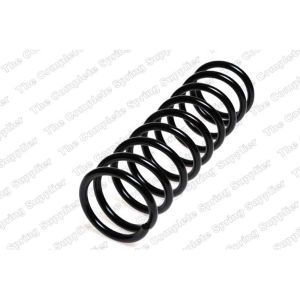 Coil Spring - Rear