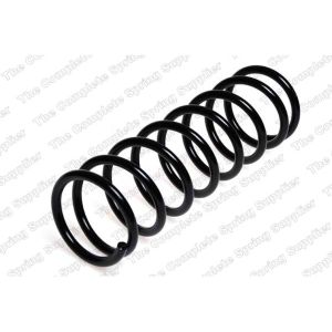 Coil Spring - Rear