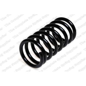 Coil Spring - Rear