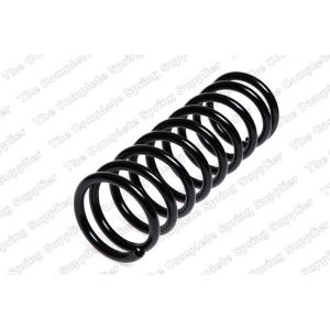 Coil Spring - Rear