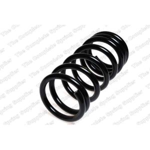 Coil Spring - Rear