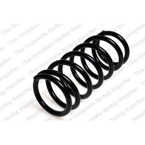 Coil Spring - Rear