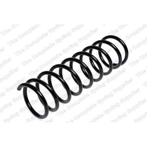 Coil Spring - Rear