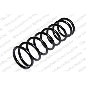 Coil Spring - Rear