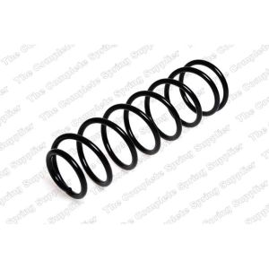 Coil Spring - Rear