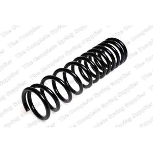 Coil Spring - Rear