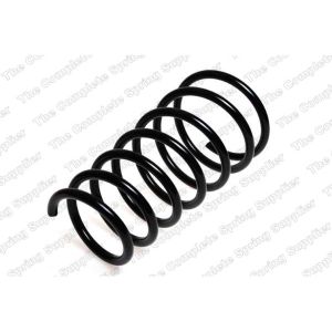 Coil Spring - Rear