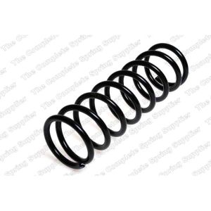 Coil Spring - Rear