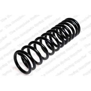 Coil Spring - Rear