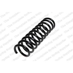 Coil Spring - Rear